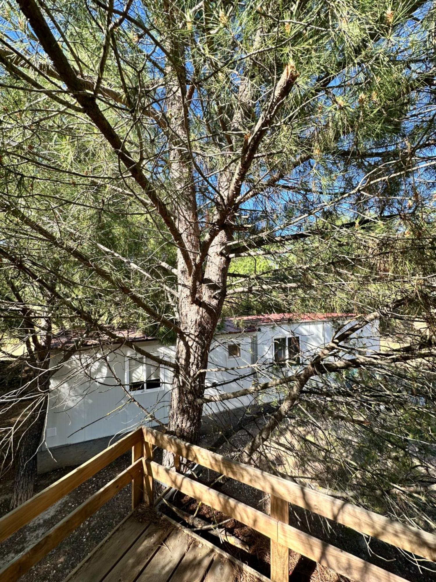 Bungalow Golosina Torrelaguna Εξωτερικό φωτογραφία